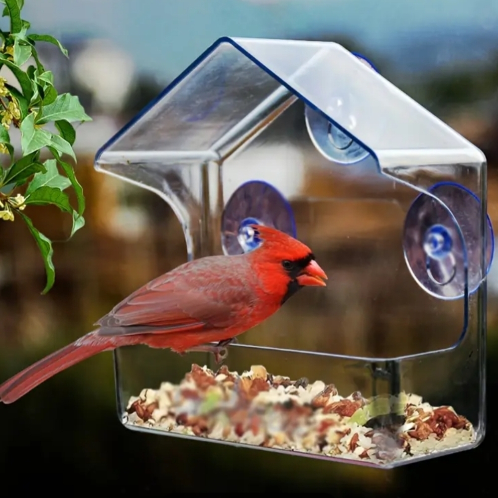 Acrylic Window Bird Feeder